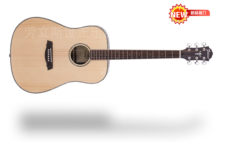 山东劳立斯世正乐器有限公司 FD60 